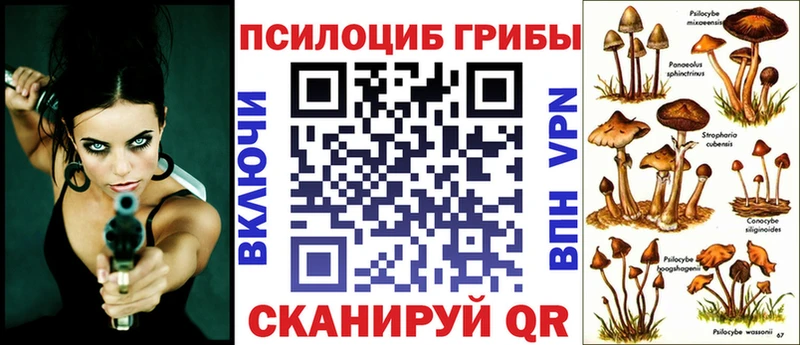 Псилоцибиновые грибы прущие грибы  Невель 